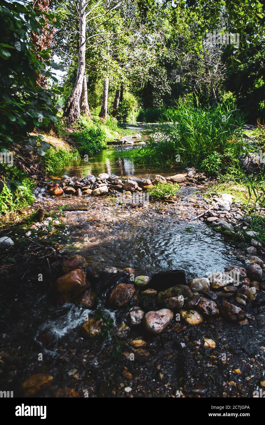 River Parted By Rocks river water passing through the rocks, river surrounded by trees Stock ...