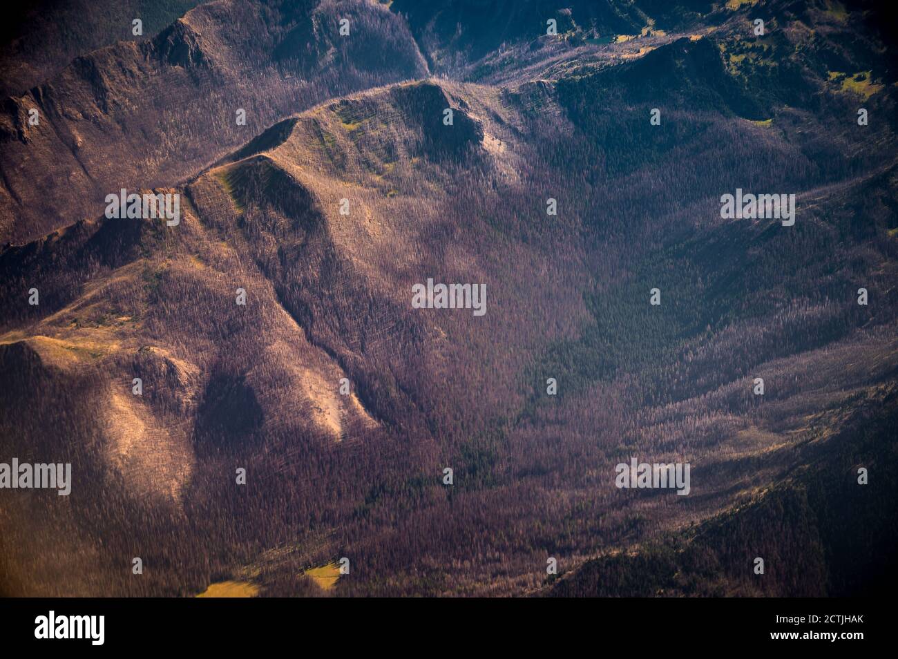 Burned Forest From Wildfire Taken From Plane Stock Photo