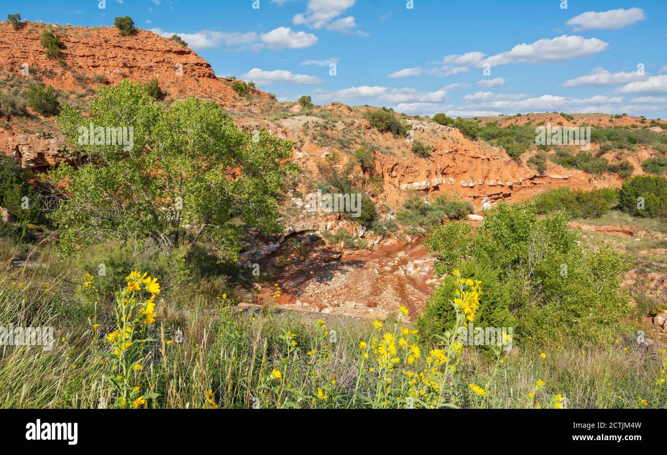 Texas Plains Trail, Briscoe County, Quitaque, Caprock Canyons State