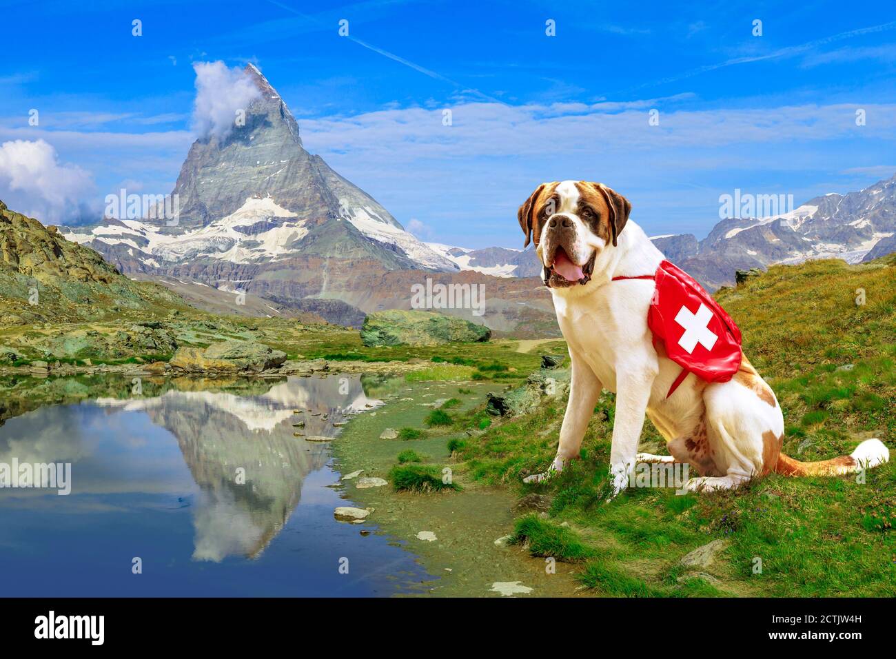 St. Bernard rescue dog standing in Zermatt, Canton of Valais, Switzerland, with Mount Matterhorn or Monte Cervino or Mont Cervin reflects on Riffelsee Stock Photo