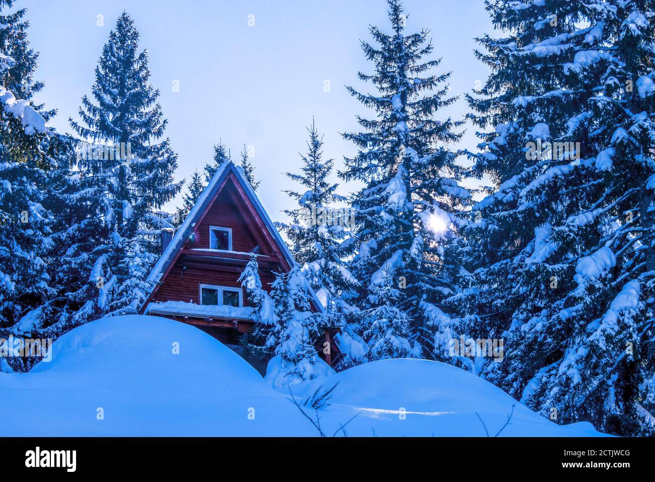 Wooden house surrounded by snow and pine trees in winter Stock Photo ...