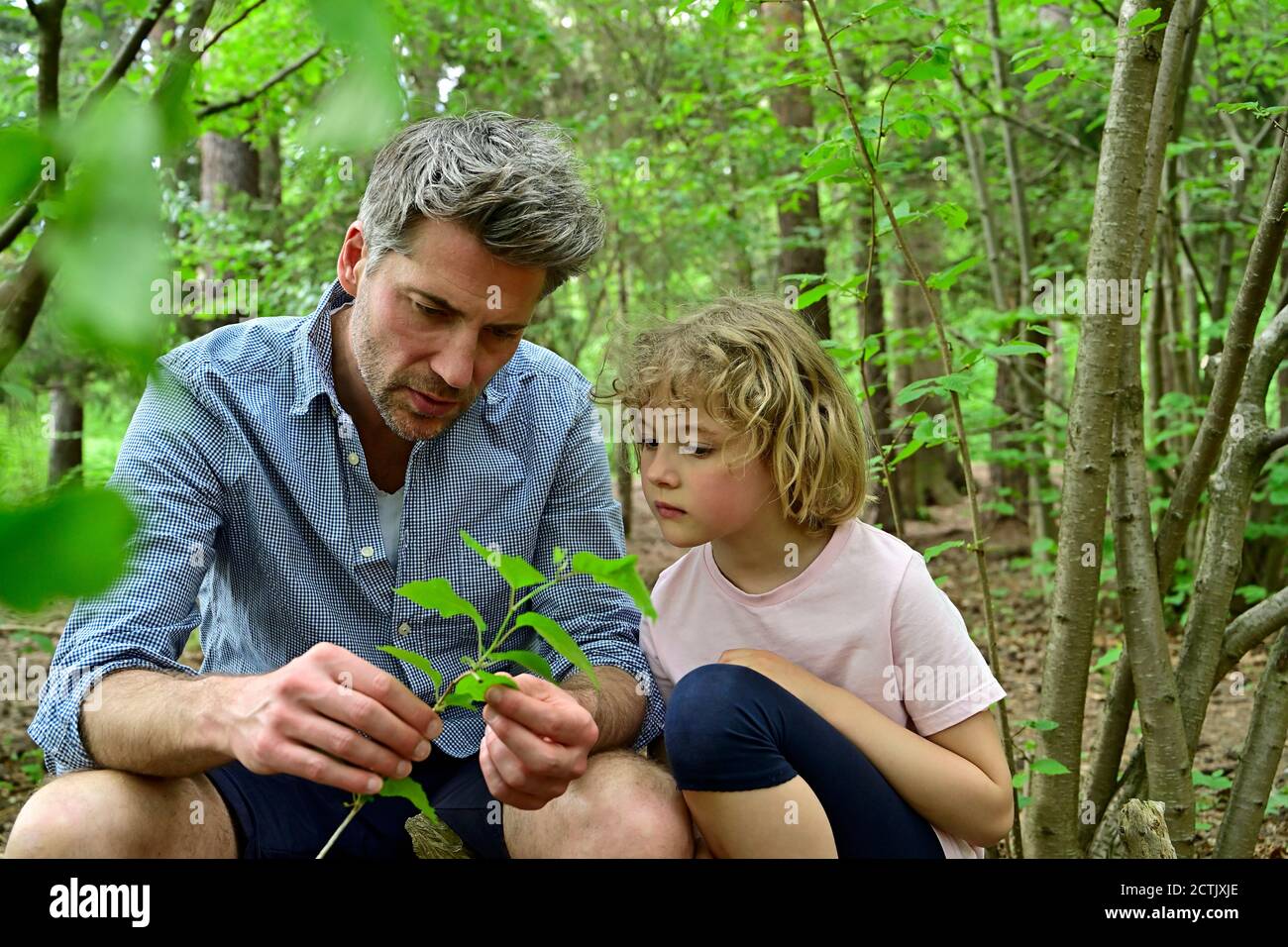 Man holding leaf while talking to daughter in forest Stock Photo - Alamy