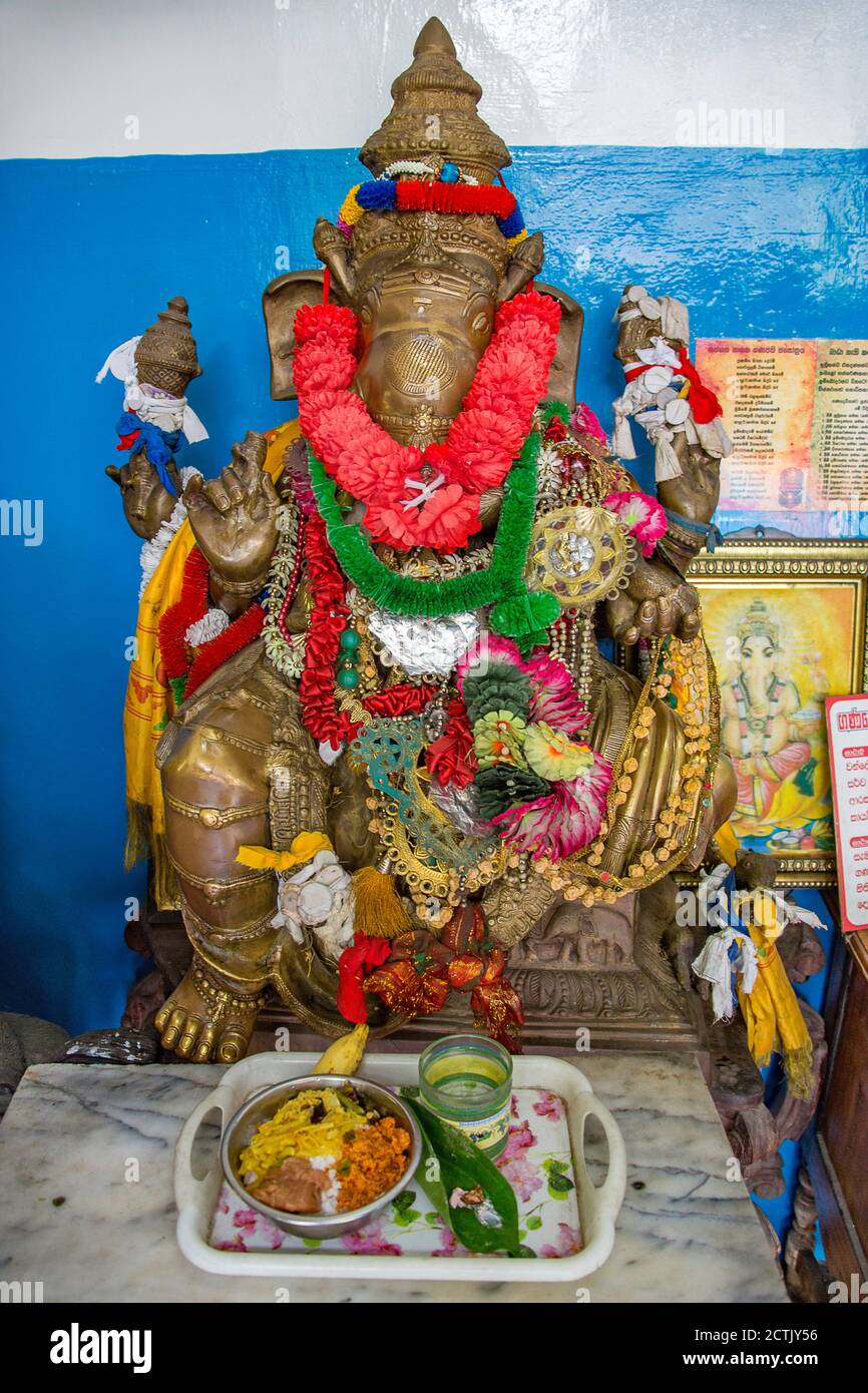 Ganesha Statue with offering. Elephant headed Hindu God of beginnings, remover of obstacles in the Gangaramaya Temple, Colombo, Sri Lanka. Stock Photo