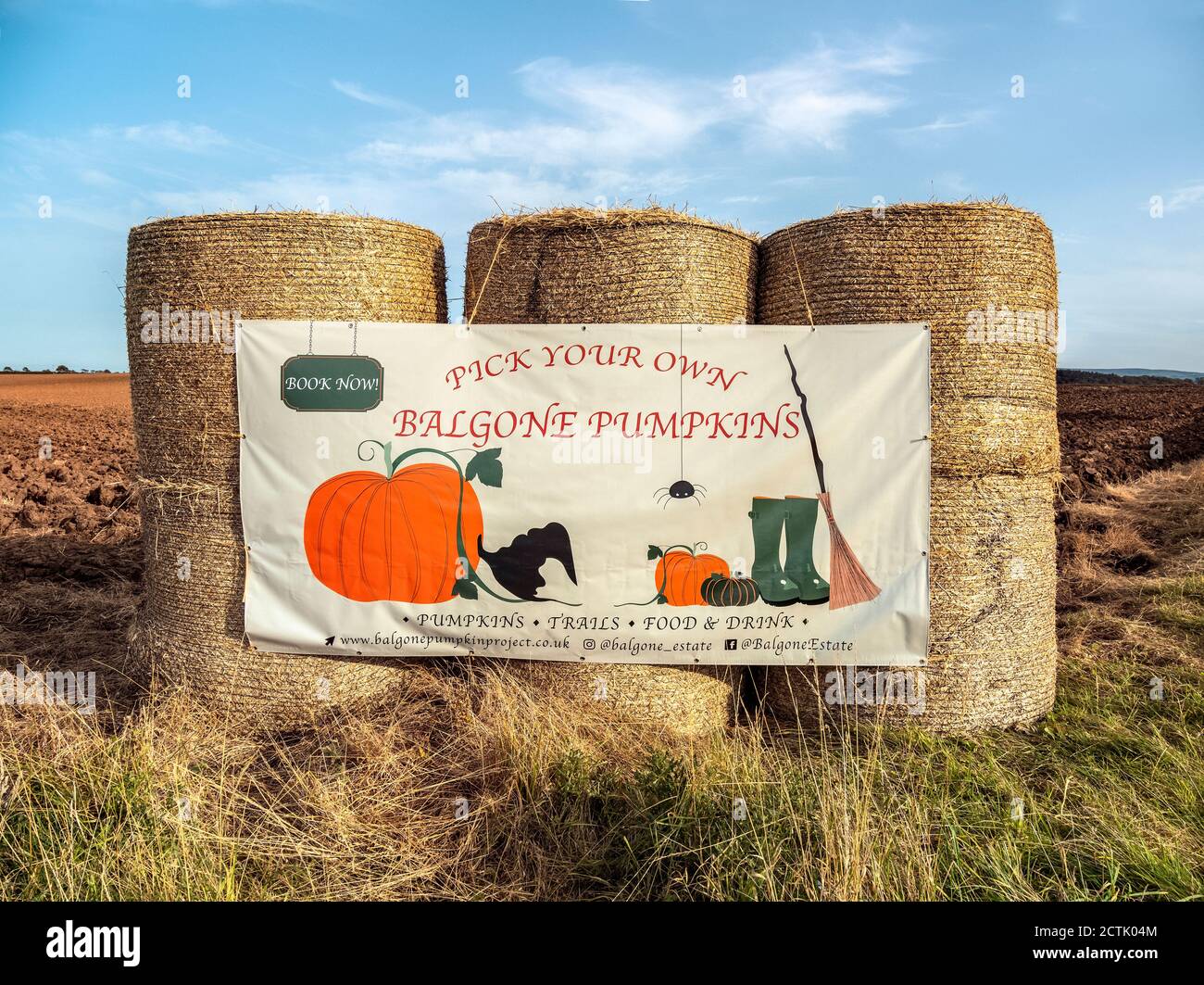 Pick Your Own Pumpkins sign, North Berwick, East Lothian, Scotland, UK. Stock Photo