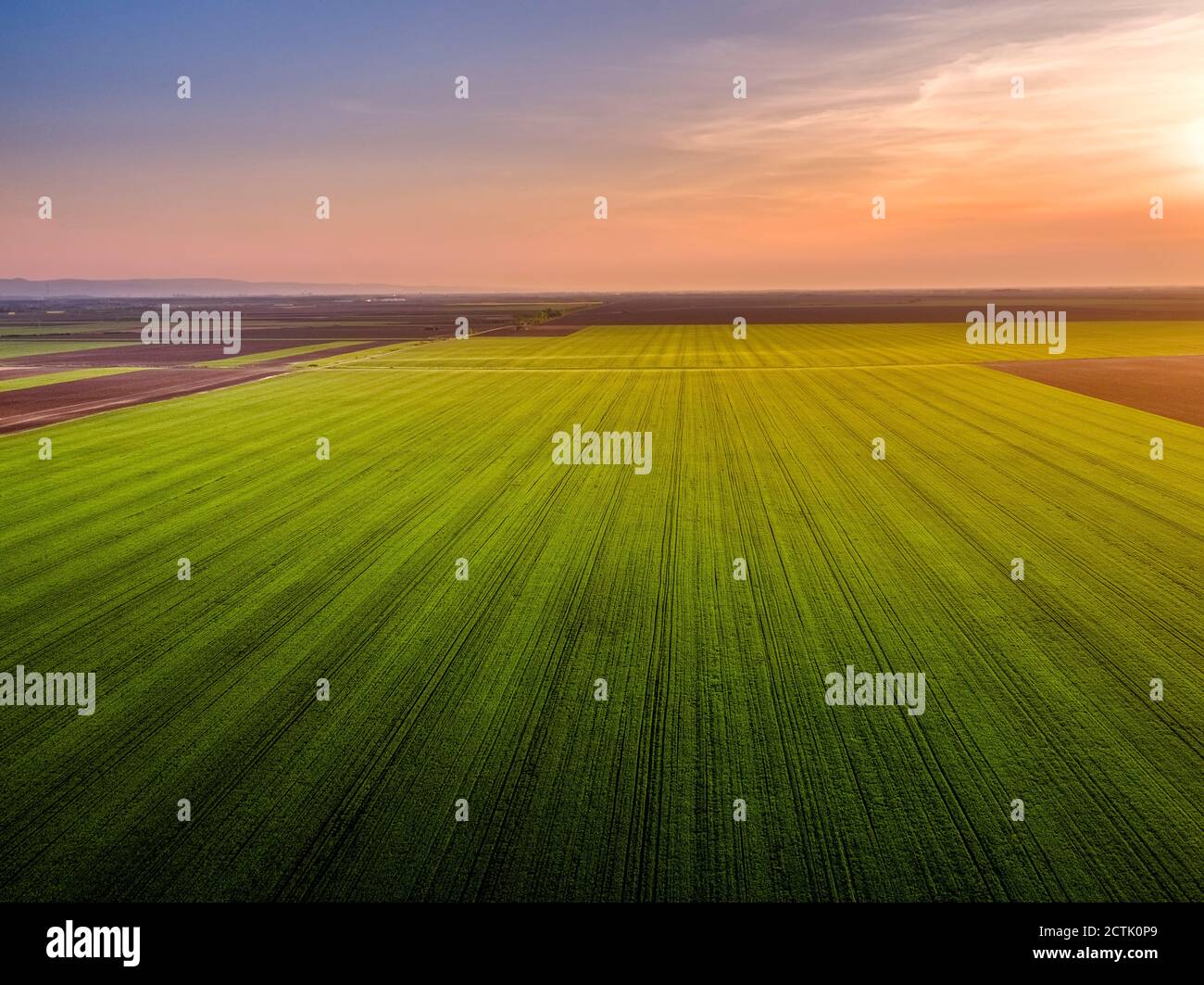 Aerial view wheat field sunset hi-res stock photography and images - Alamy