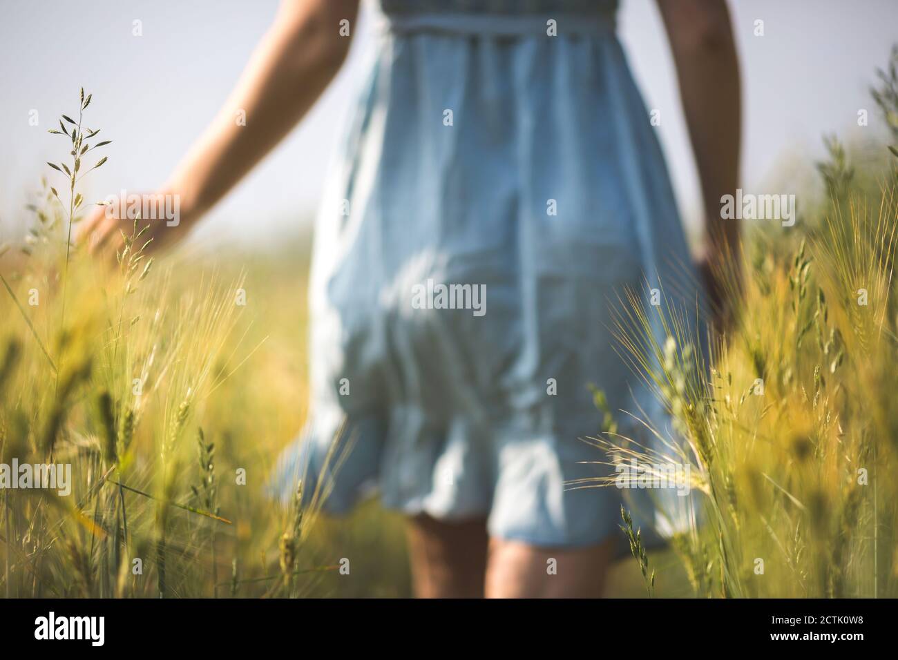 Field Exploring Exploring field hi-res stock photography and images - Alamy