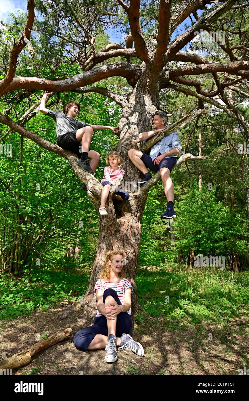 Family sitting on the tree hi-res stock photography and images - Alamy