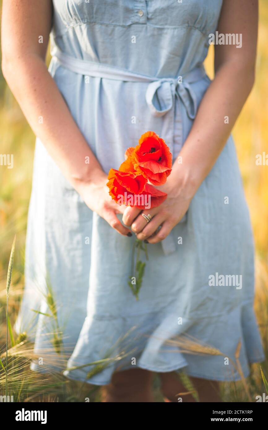 Hand holding poppy hi-res stock photography and images - Alamy