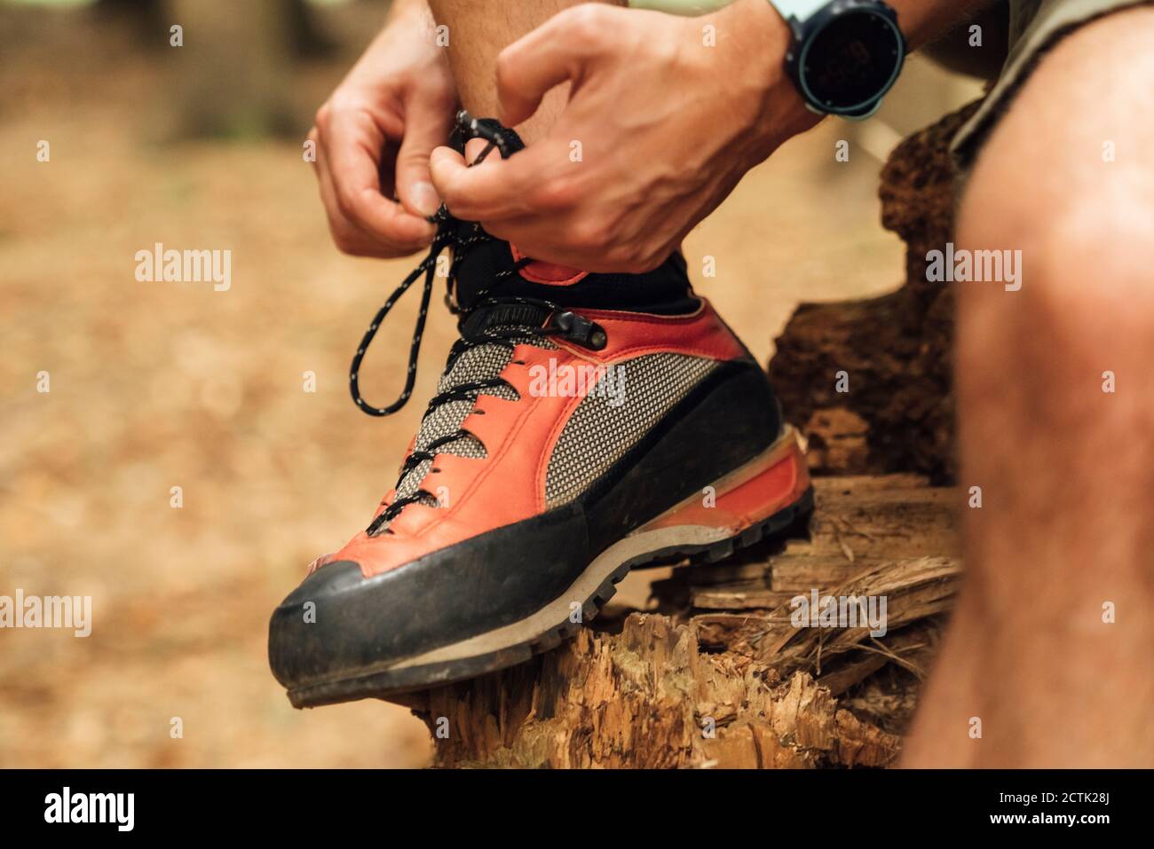 Close-up of mid adult man tying shoelace on wood in forest Stock Photo