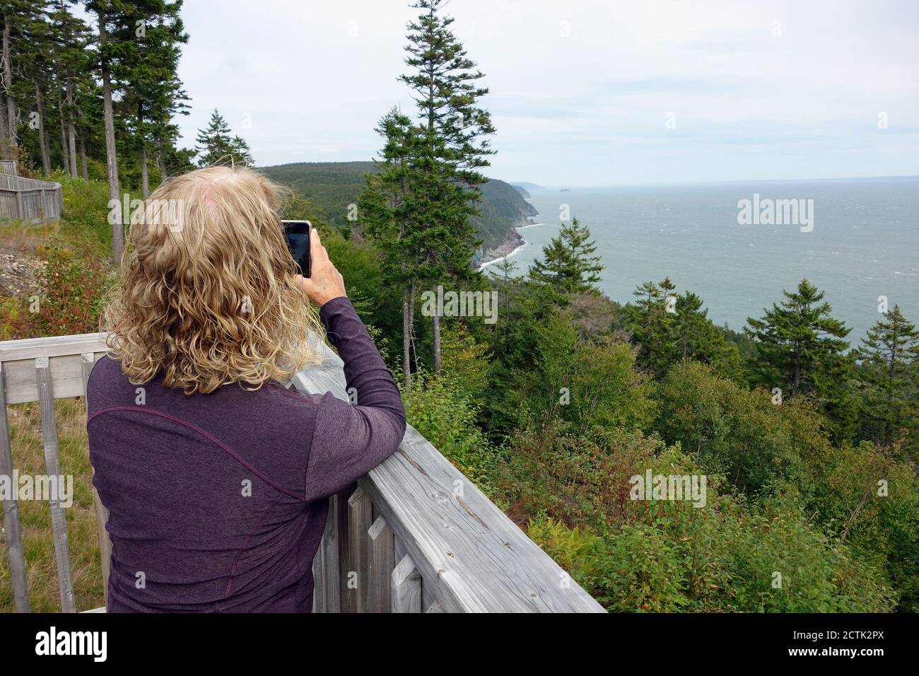 woman taking photo along coast at Fundy Trail Parkway auto trail, new Brunswick, Canada Stock Photo