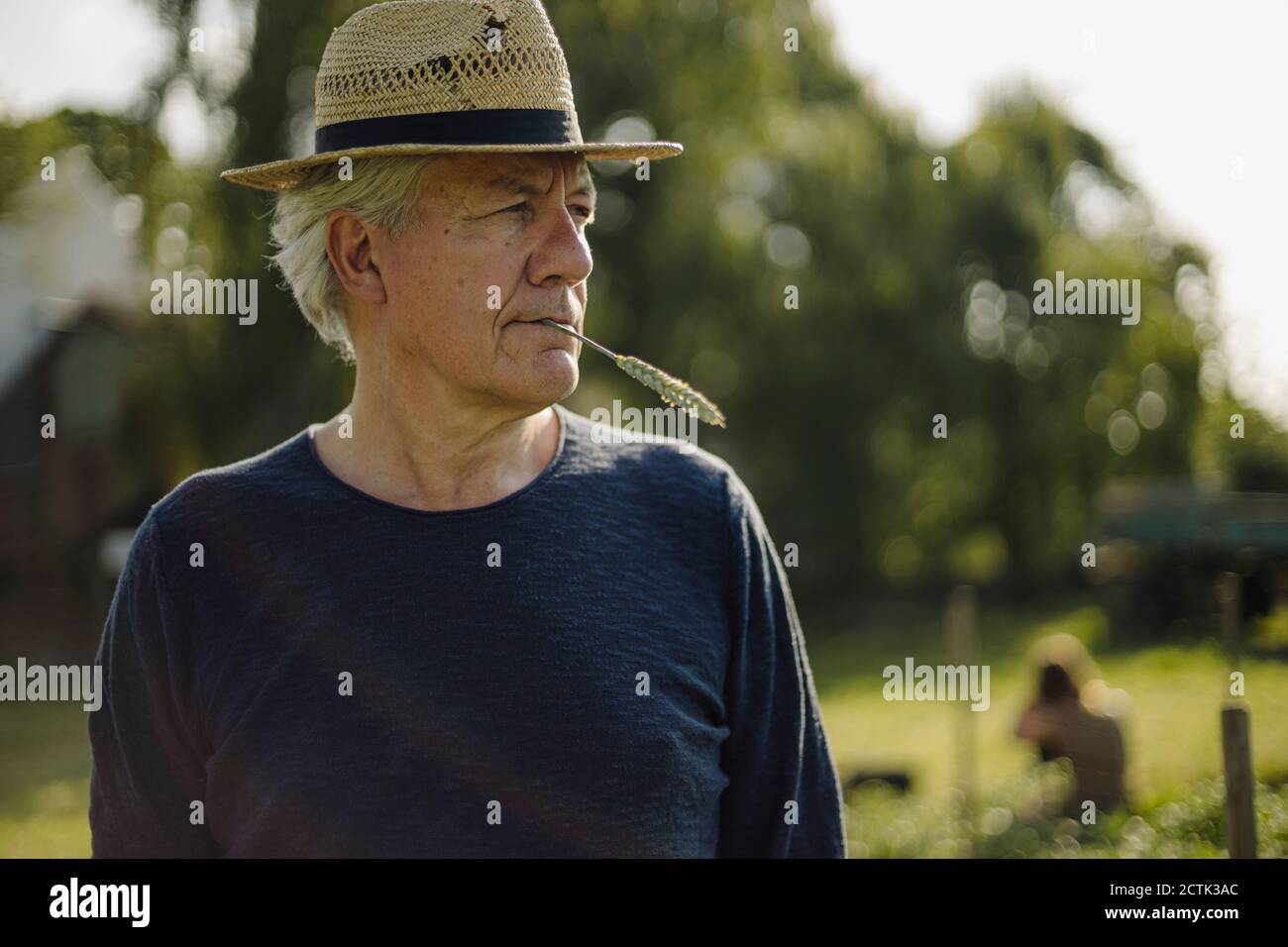 Wrinkled man holding crop in mouth while looking away in field Stock Photo