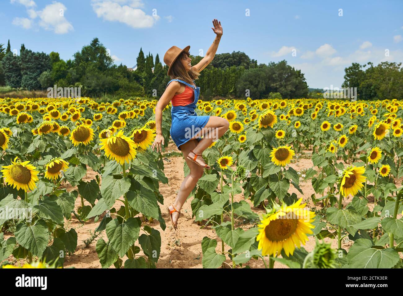 Smiling woman jumping in sunflower field during summer Stock Photo