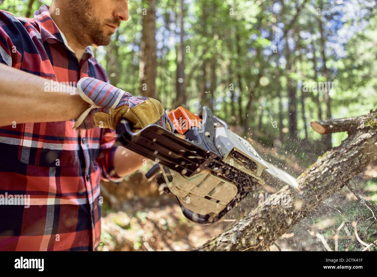 Lumberjack chainsaw shirt hi-res stock photography and images - Alamy
