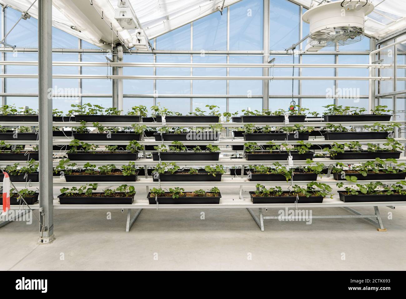 Shelves of plants hires stock photography and images Alamy