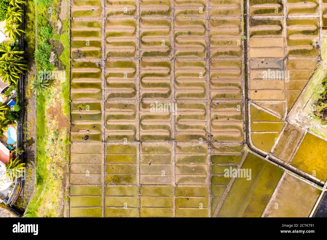 Mauritius, Black River, Tamarin, Helicopter view of rows of salt pans Stock Photo