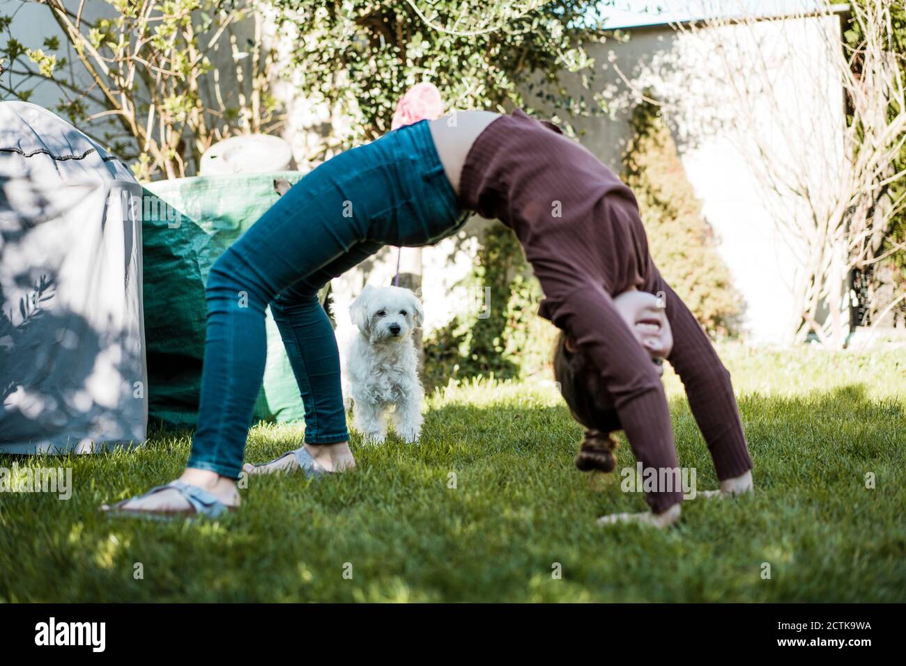 Girl exercising while balancing over grass by dog in yard Stock Photo