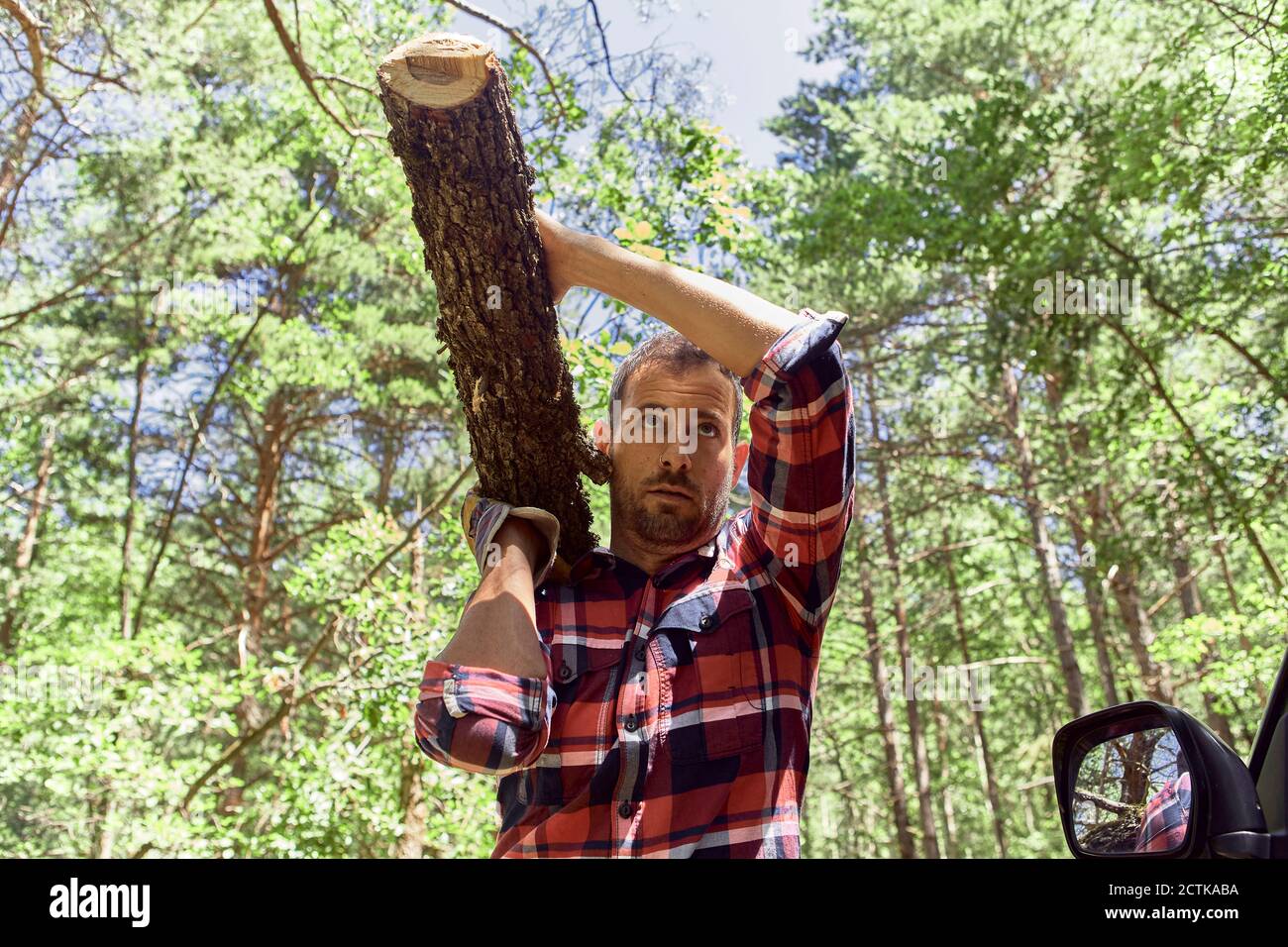 Lumberjack carrying log on shoulder in forest Stock Photo