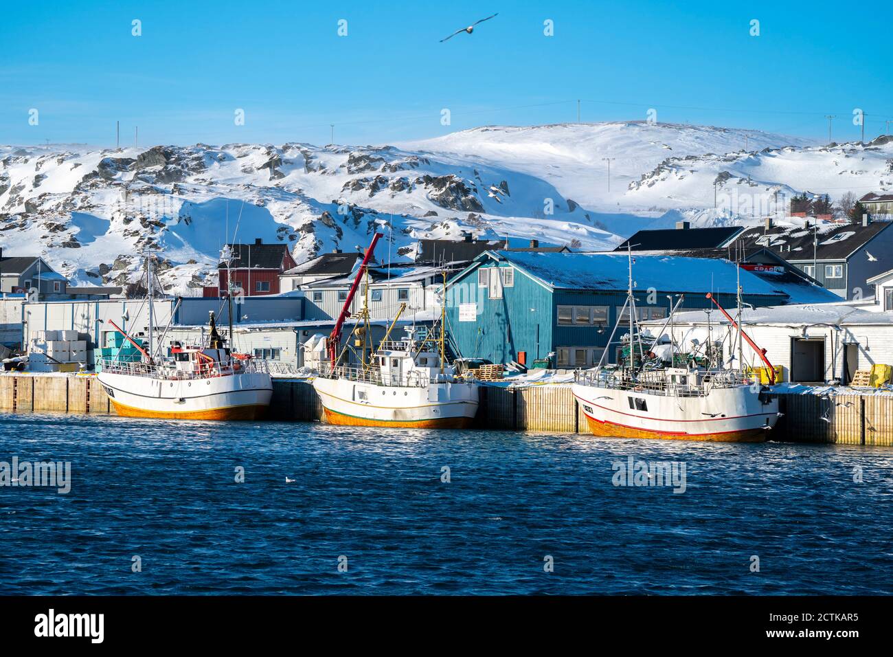 Fishing boats in the port, Berlevag, Varanger peninsula, Finnmark, Norway Stock Photo