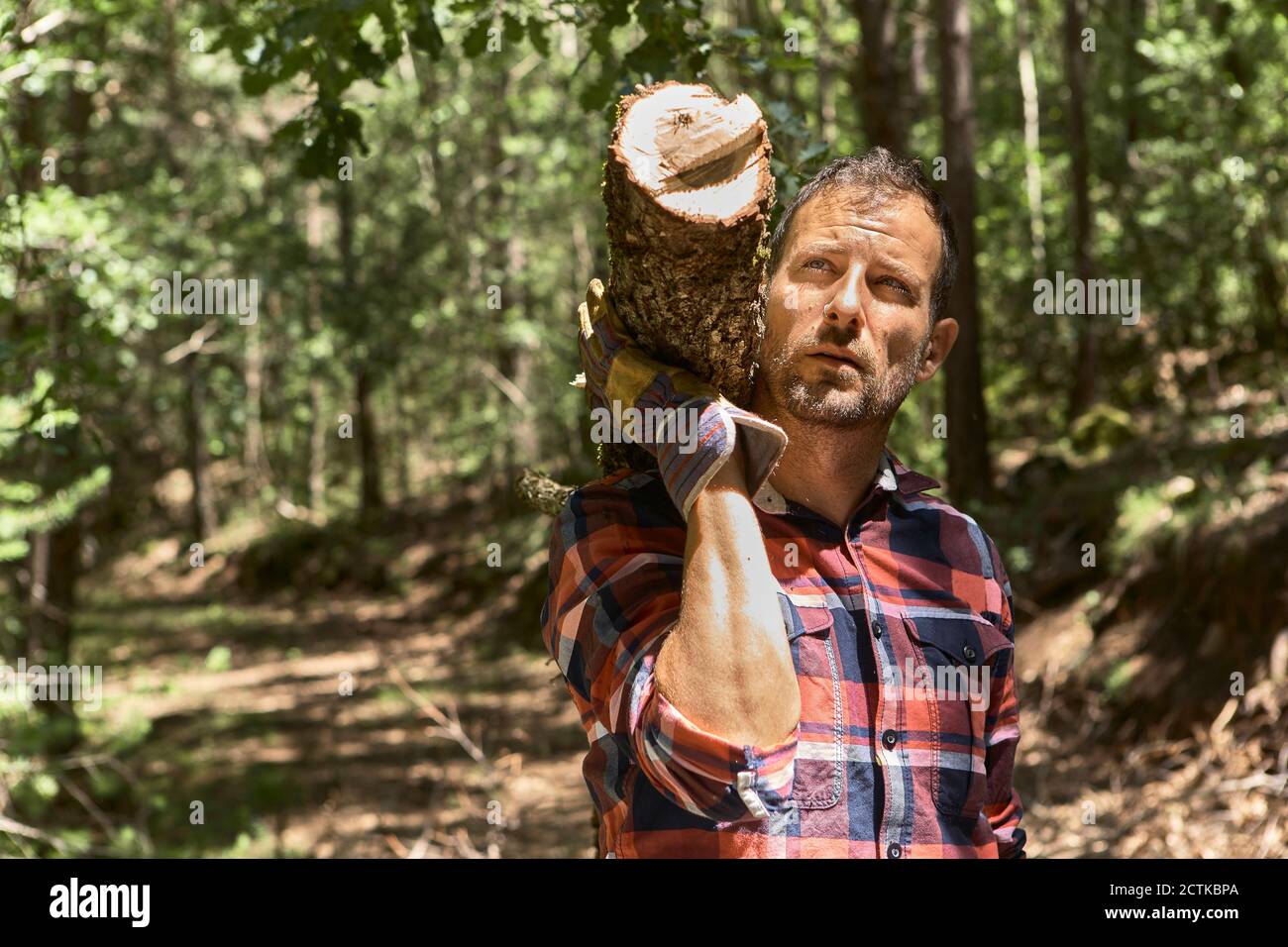 Thoughtful woodsman carrying log on shoulder while looking away in forest Stock Photo