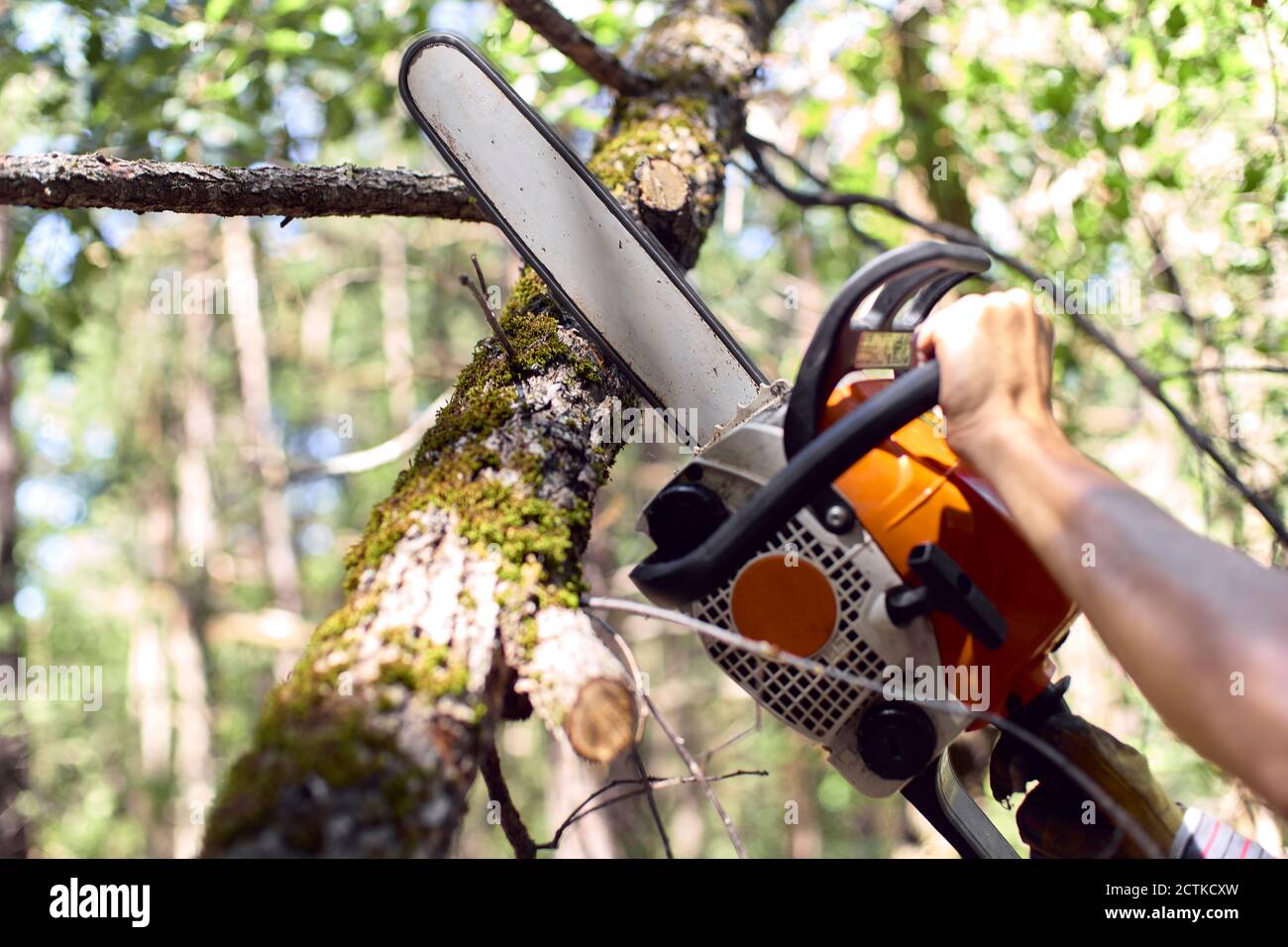 Close up hands chainsaw cutting hi-res stock photography and images - Alamy