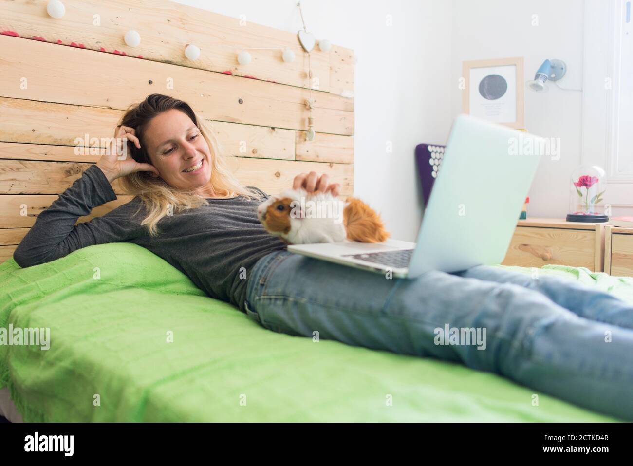 Smiling woman stroking guinea pig while lying with laptop on bed at home Stock Photo