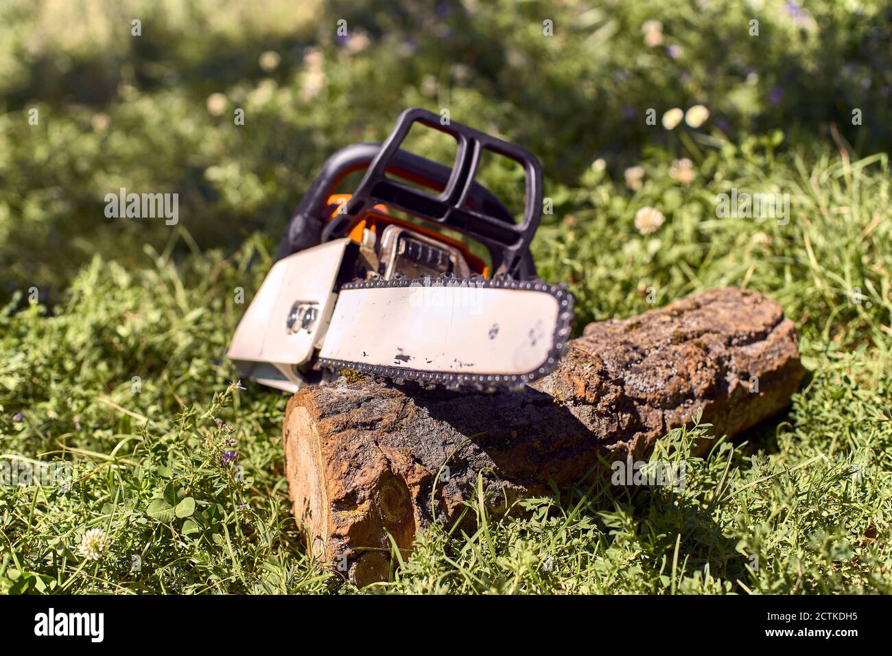 Chainsaw on log over hi-res stock photography and images - Alamy