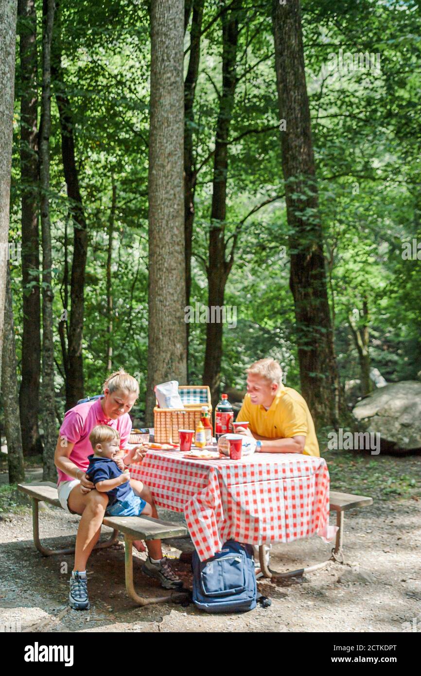 Tennessee Great Smoky Mountains National Park,family families mother father kids children picnic table eating nature natural setting, Stock Photo