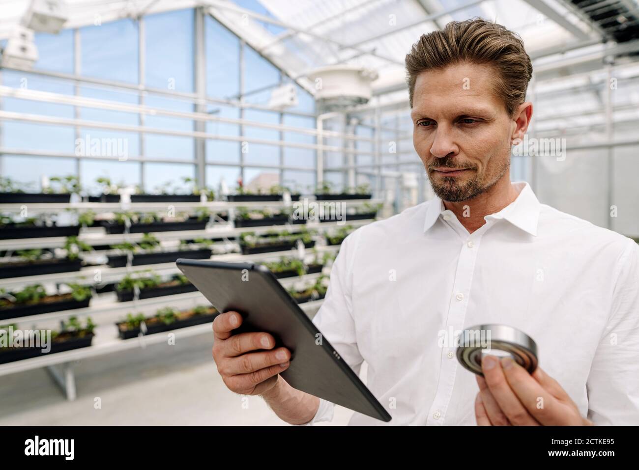 Close-up of businessman holding work tool using digital tablet in greenhouse Stock Photo