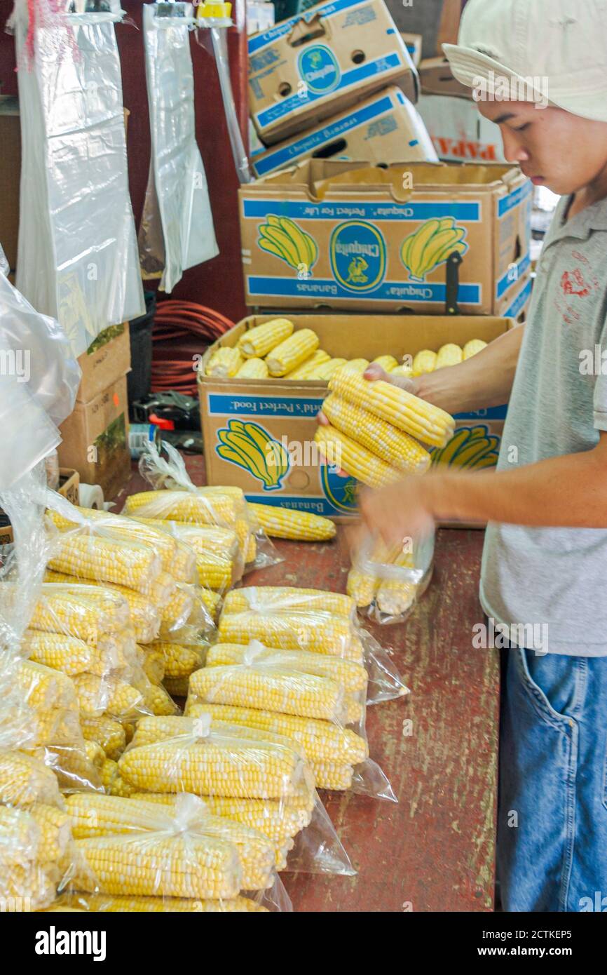 Miami Florida,Florida City Robert Is Here Fruit Stand,Hispanic immigrant immigrants man male teen teenager boy prepares corn,ears Stock Photo