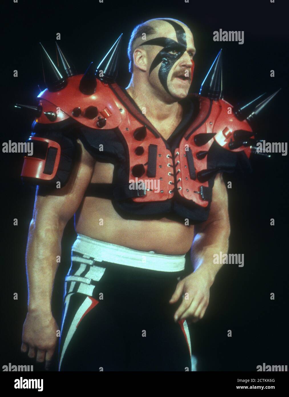 Hawk1993 Photo By John Barrett/PHOTOlink Stock Photo