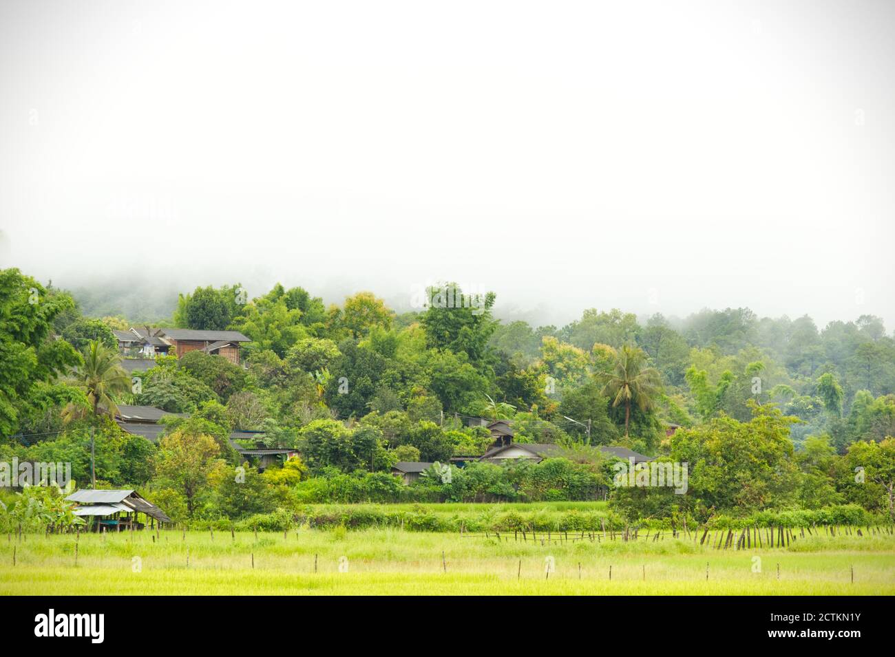 Rural villages of Thailand in the Asian zone and rice fields among the mountains and thick fog in the morning during the rainy season. The concept of Stock Photo