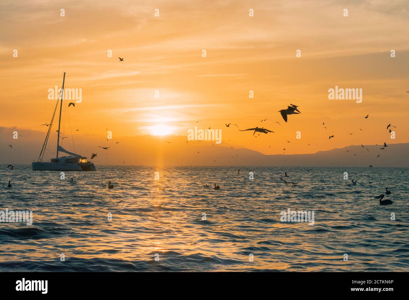 Boat in the sea and birds flying around during sunset Stock Photo