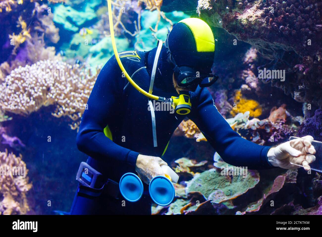 Cleaning Fish Tank High Resolution Stock Photography and Images Alamy