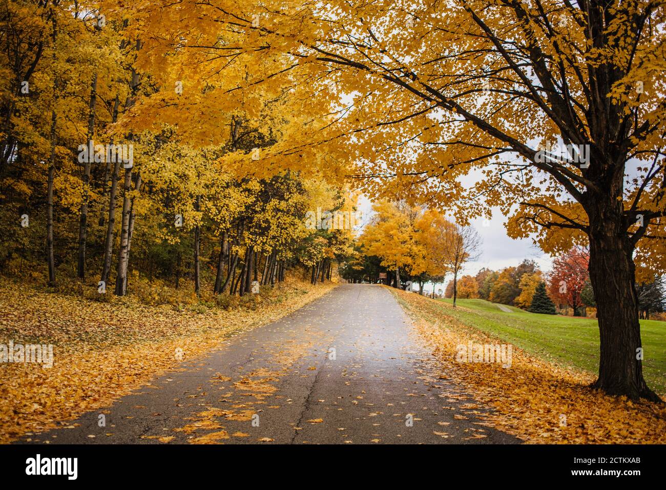 View of a beautiful romantic alley in a park with colorful trees with ...