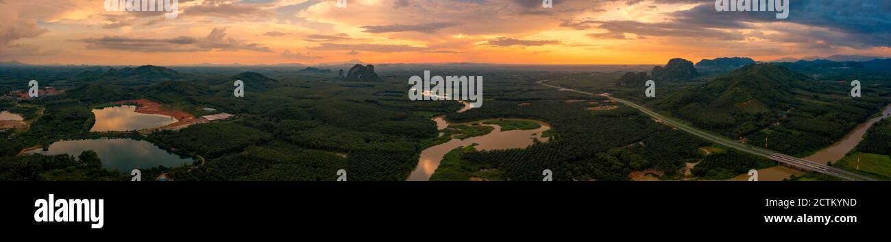 Aerial palm tree forest foggy hi-res stock photography and images - Alamy
