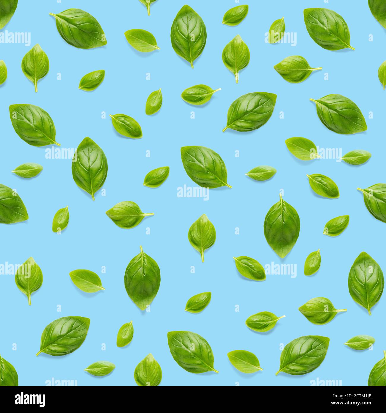 Italian Basil leaf herb seamless pattern on blue background, Creative seamless pattern made from fresh green basil flat lay layout. Stock Photo