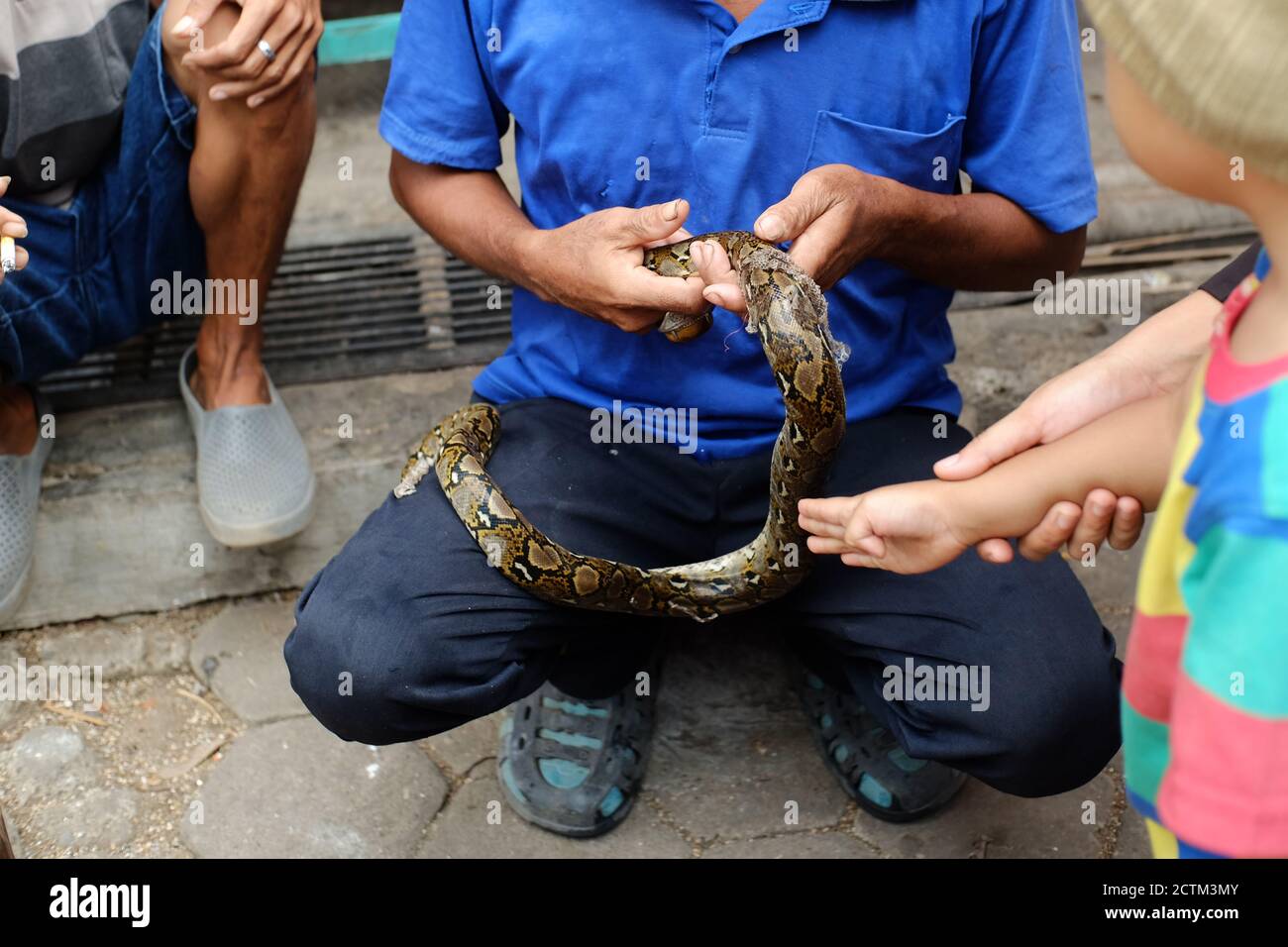 Purbalingga, Indonesia - April 19, 2020: Old man help reticulated snake shedding skin, selective focus on hand. Stock Photo