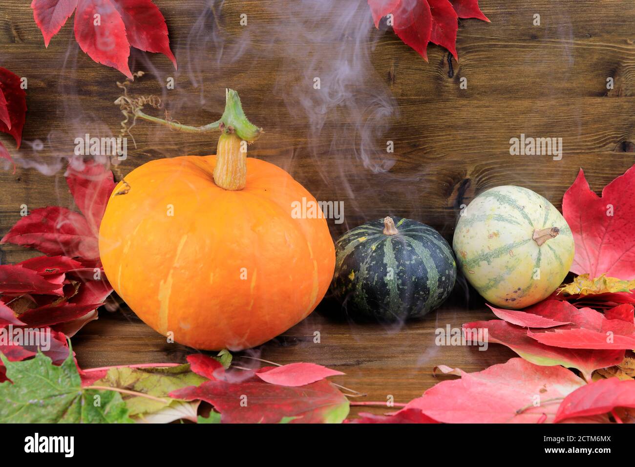 Creepy still-life with pumpkins fruits and autumn leaves Stock Photo ...