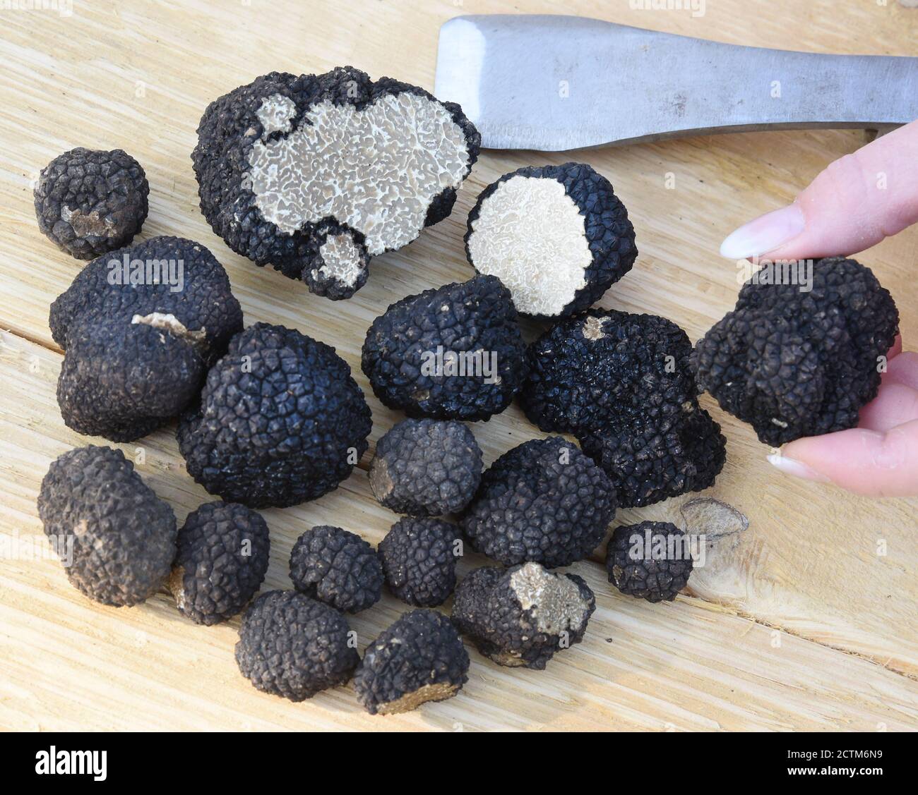 15 September 2020, Saxony, Eilenburg Cleaned truffles lie on a table