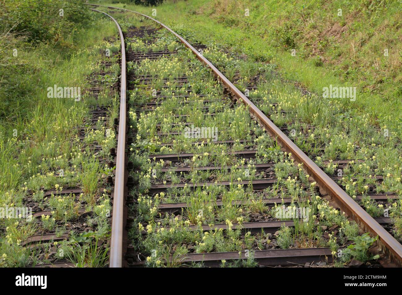 Old railroad line hi-res stock photography and images - Alamy