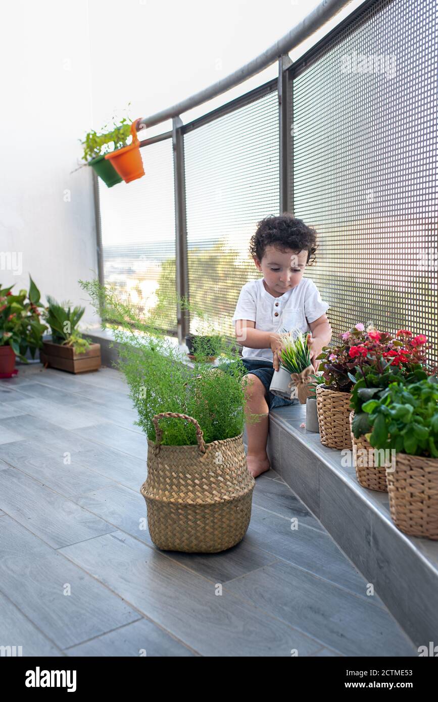 Little child taking care of plants on the balcony. Toddler in terrace with wonderful biophilic design. Stock Photo