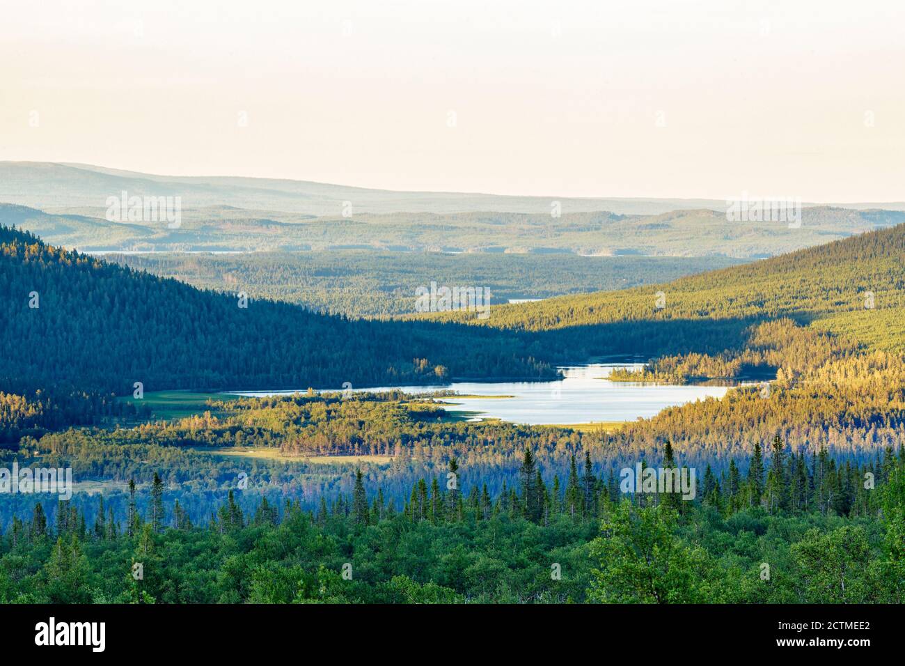 Forest lake in the Nordic wilderness Stock Photo
