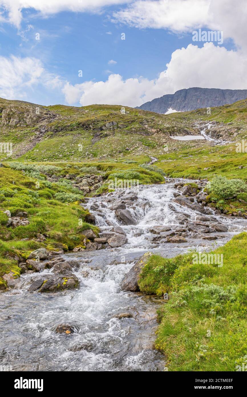 Mountain stream landscape view with a mountain peak Stock Photo