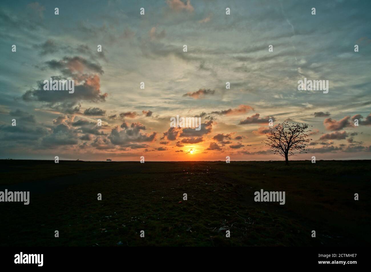 The beauty of sunset or sunrise with tree silhouettes Stock Photo - Alamy