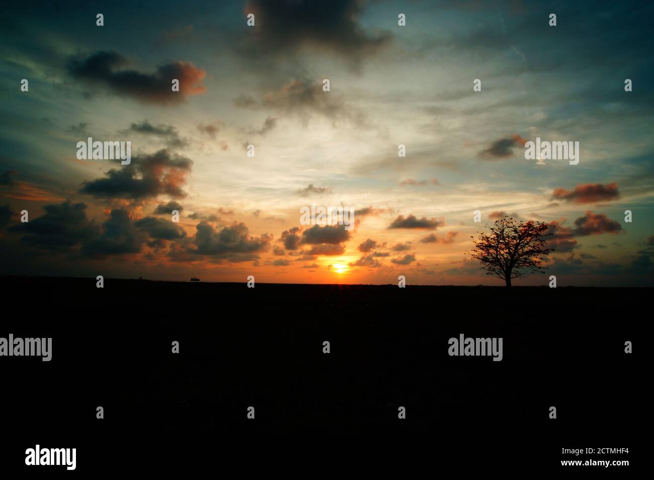 The beauty of sunset or sunrise with tree silhouettes Stock Photo - Alamy