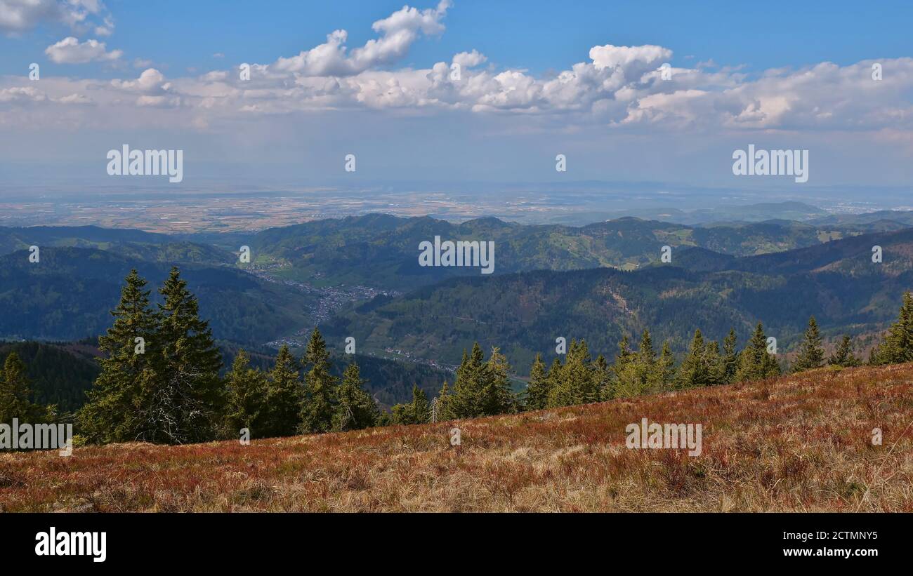 Panoramic view over the foothills of Black Forest, Germany with villages Münstertal and Staufen im Breisgau as well as Rhine valley in the background. Stock Photo