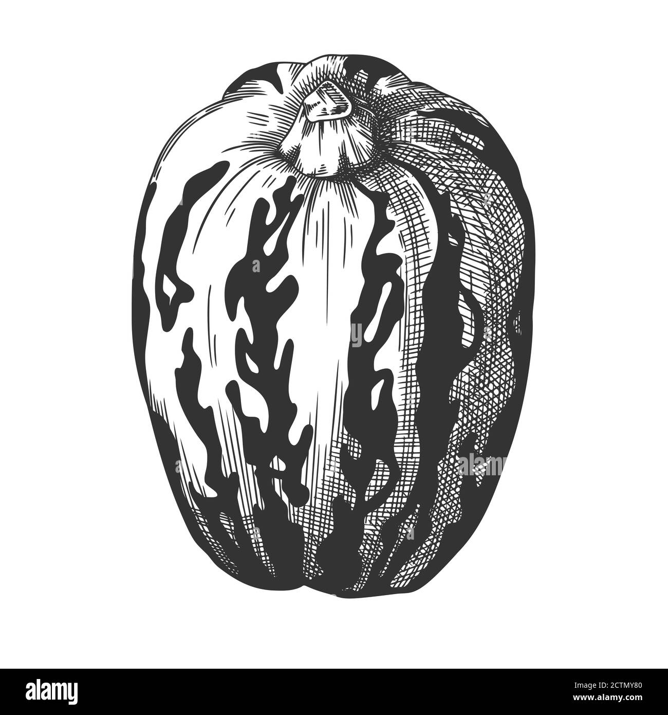 Hand drawn pumpkin isolated on white background. Vector illustration of ...