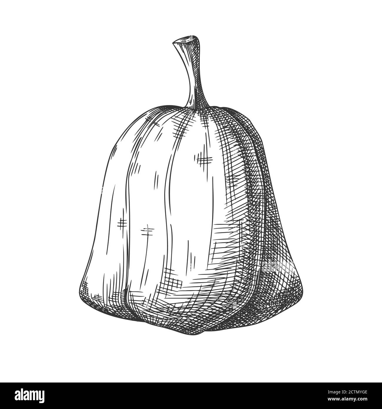 Hand drawn pumpkin isolated on white background. Vector illustration of ...