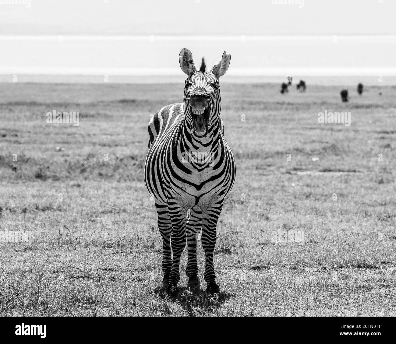 Living with wildlife Black and White Stock Photos & Images - Alamy