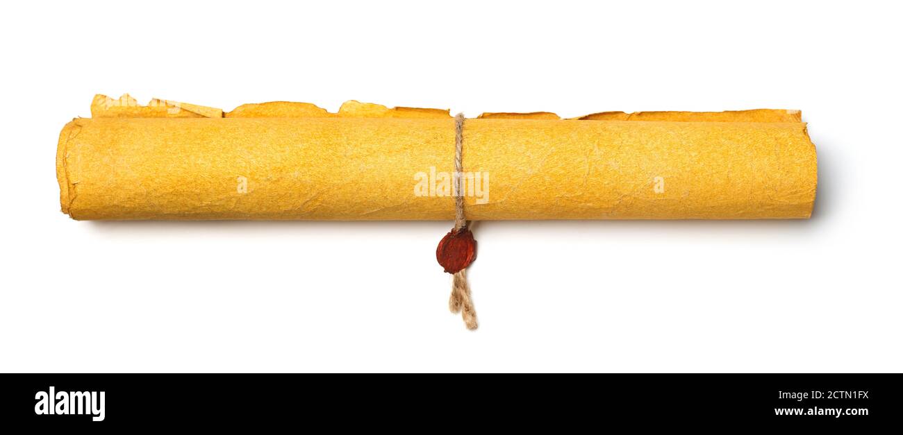 Papyrus isolated on white Stock Photo - Alamy